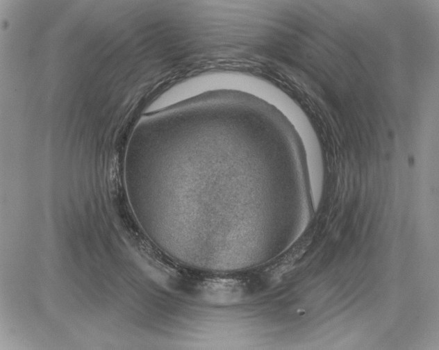 X0000081560748200701291149