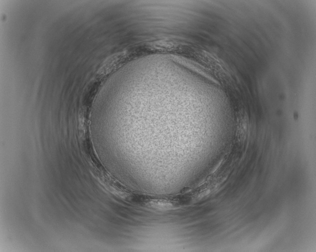 X0000081560749200701291149