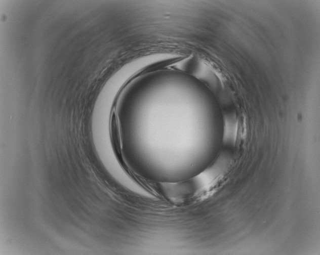 X0000081560750200701291149