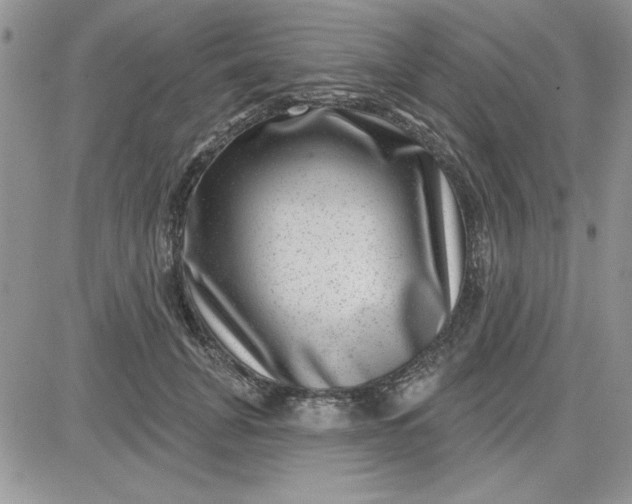 X0000081560751200701291149