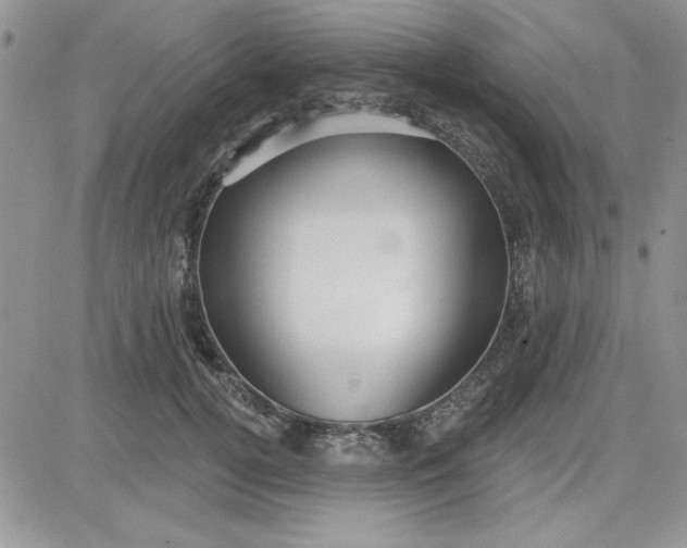 X0000081560752200701291149