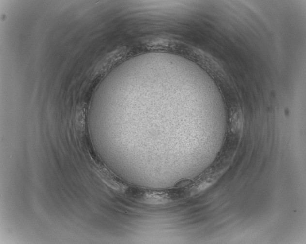 X0000081560753200701291149