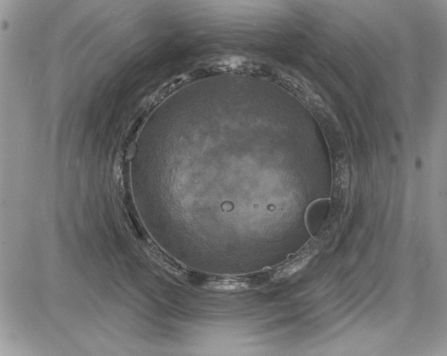 X0000081560754200701291149