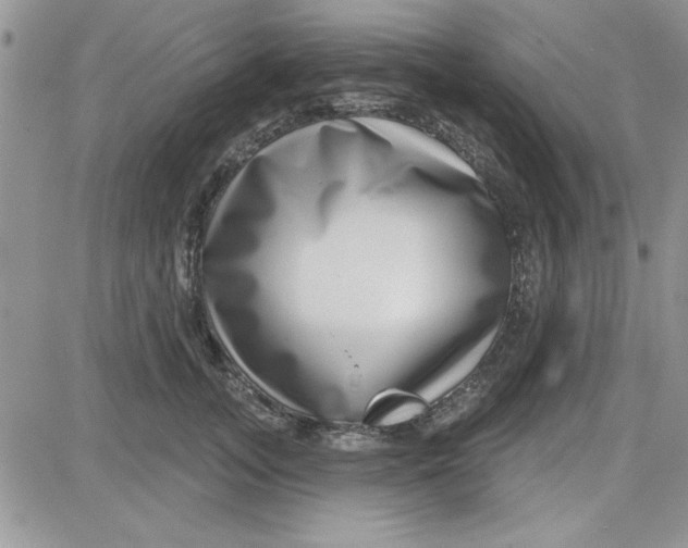 X0000081560755200701291149