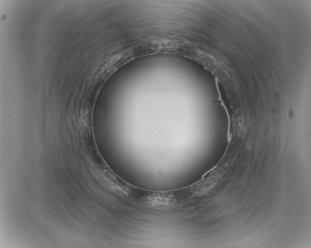 X0000081560756200701291149