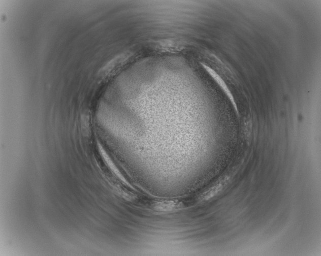 X0000081560757200701291149