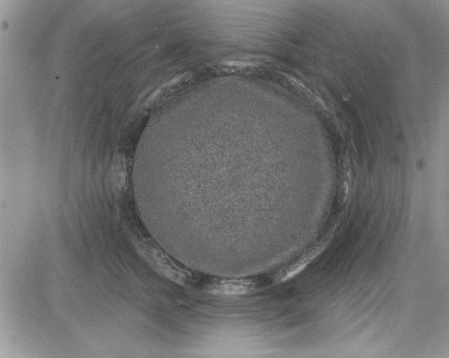 X0000081560758200701291149