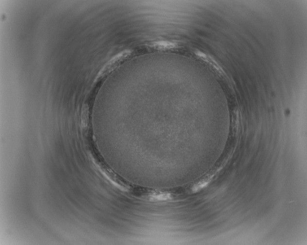 X0000081560760200701291149