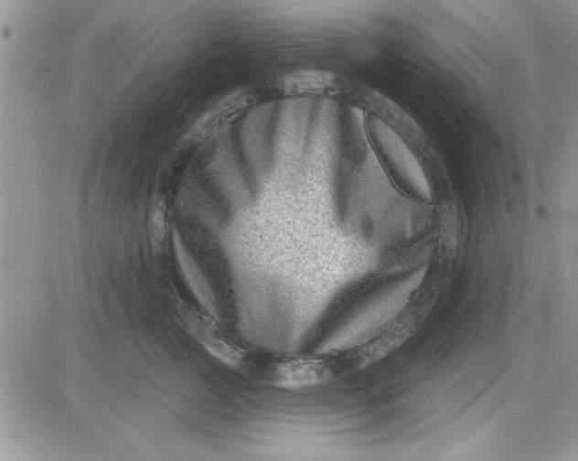 X0000081560761200701291149