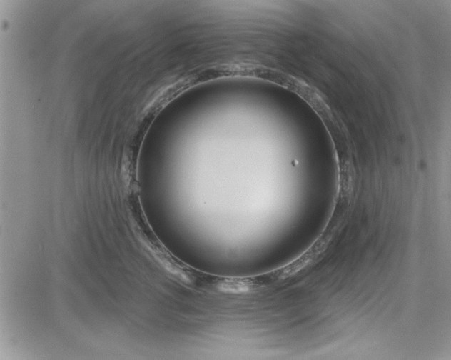 X0000081560762200701291149