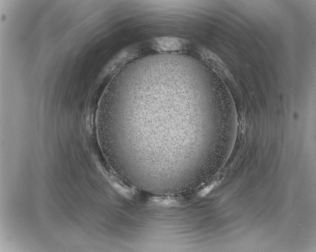 X0000081560763200701291149