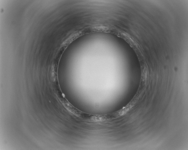 X0000081560764200701291149