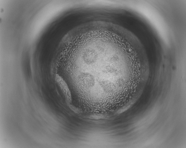 X0000081560765200701291149