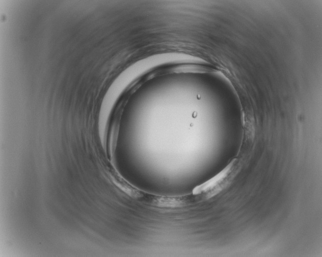 X0000081560766200701291149