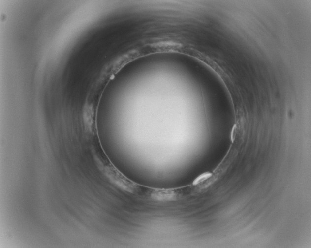 X0000081560767200701291149