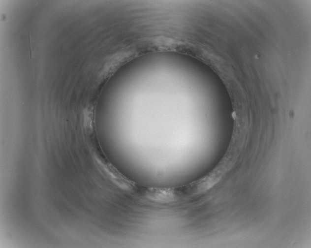 X0000081560768200701291149