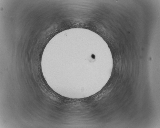 X0000081560769200701291149