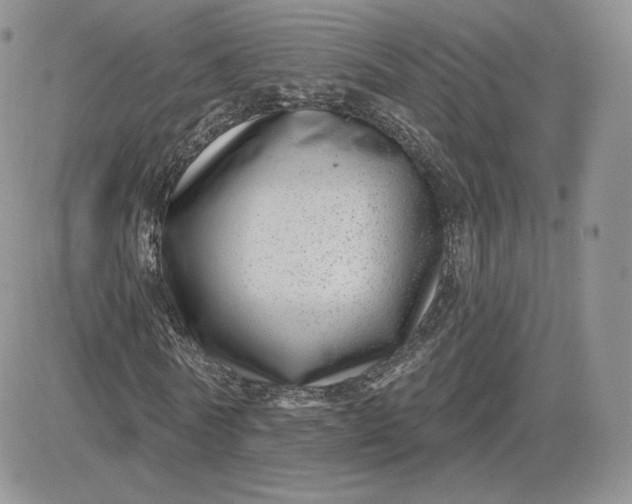 X0000081560770200701291149