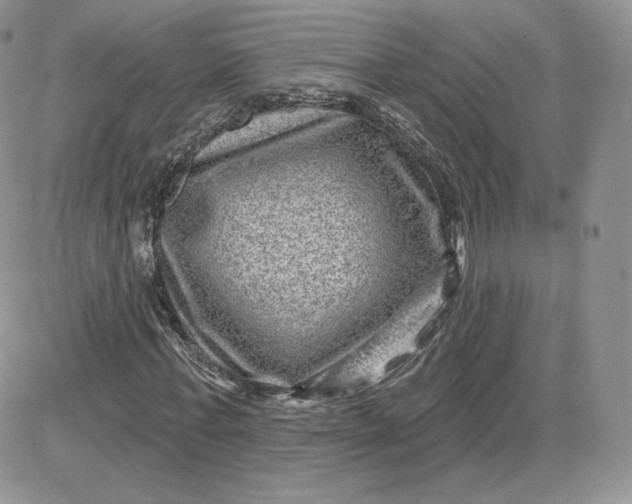 X0000081560771200701291149