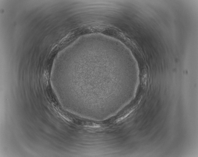 X0000081560772200701291149