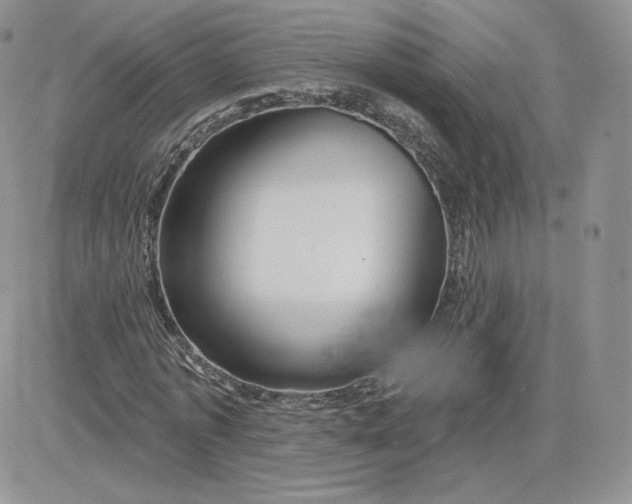 X0000081560773200701291149