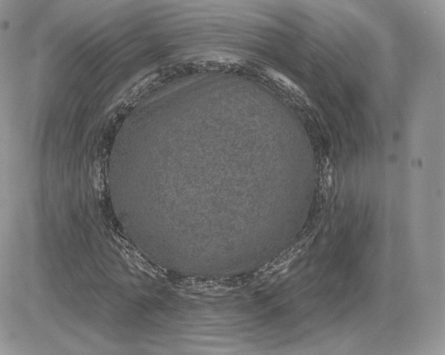 X0000081560774200701291149