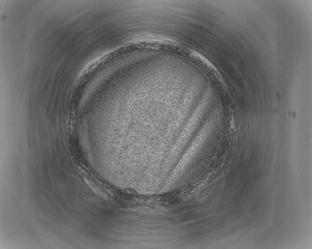 X0000081560775200701291149