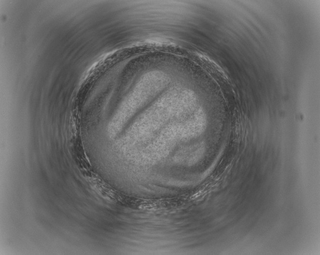 X0000081560776200701291149