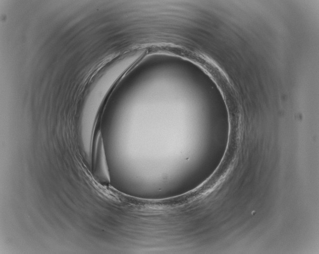 X0000081560777200701291149