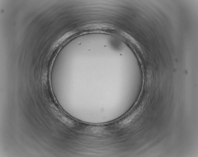 X0000081560778200701291149