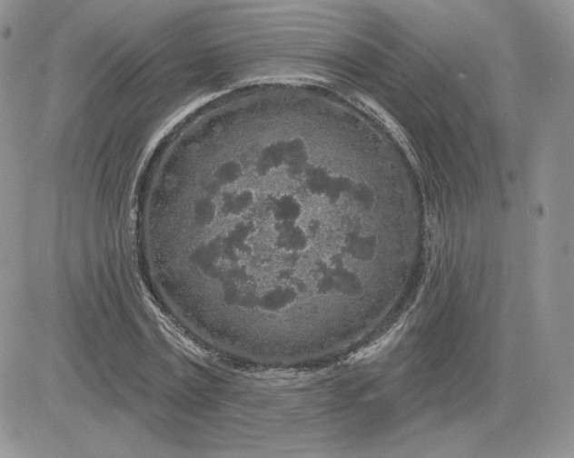 X0000081560779200701291149