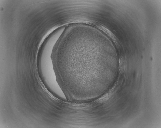 X0000081560780200701291148