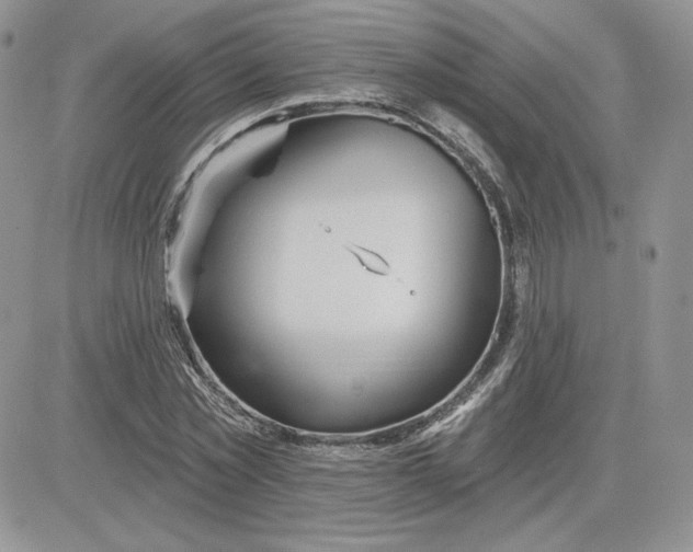 X0000081560781200701291148