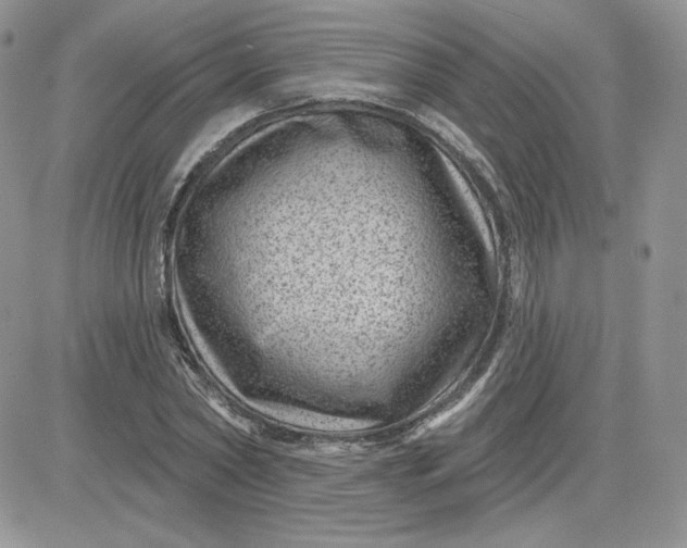 X0000081560782200701291148