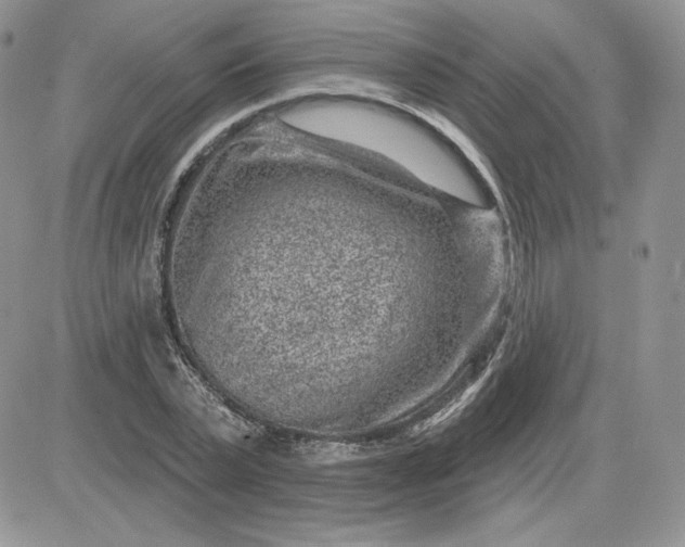 X0000081560783200701291148