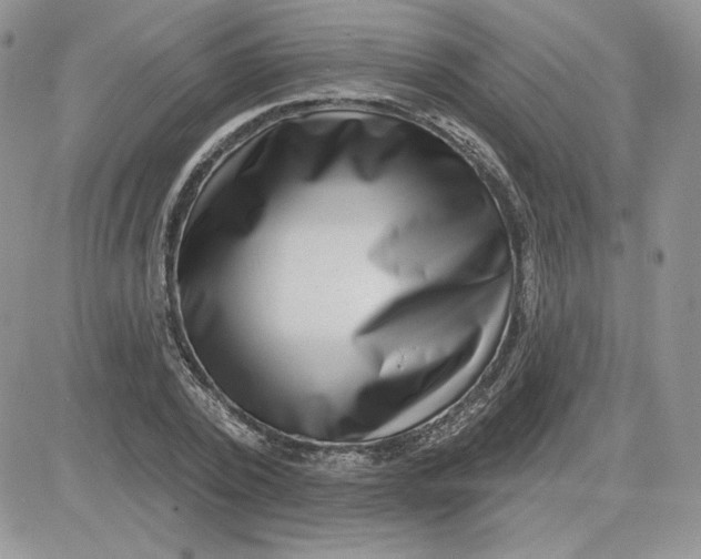 X0000081560784200701291148