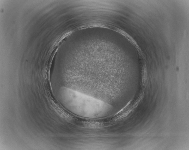 X0000081560785200701291148