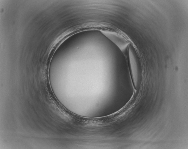 X0000081560786200701291148