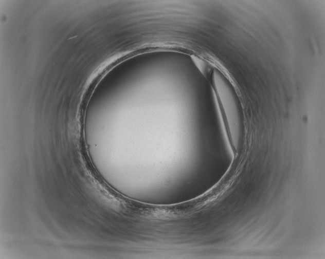 X0000081560787200701291148