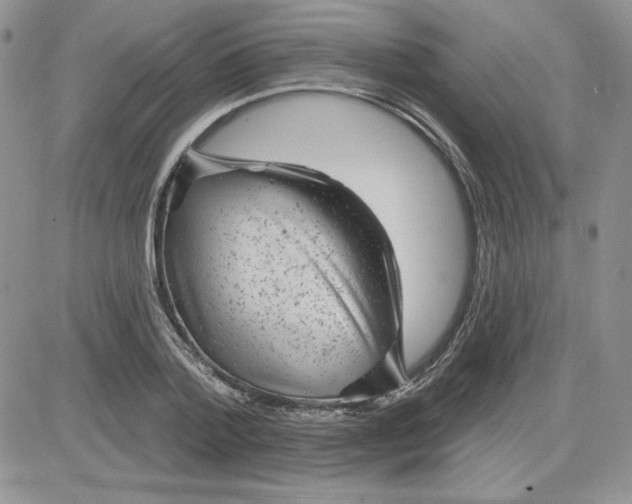 X0000081560788200701291148