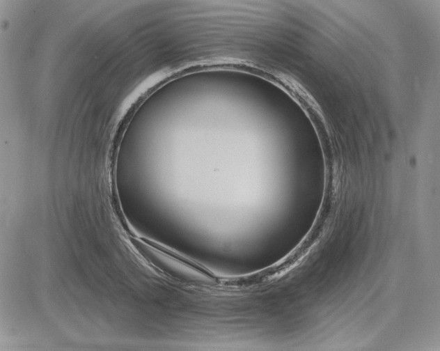 X0000081560789200701291148