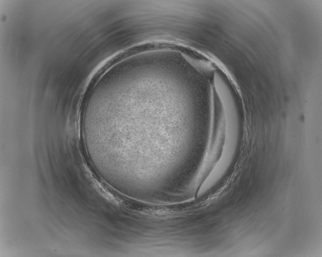 X0000081560791200701291148