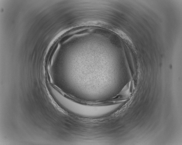 X0000081560792200701291148