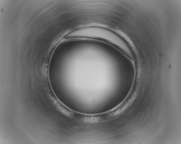 X0000081560793200701291148