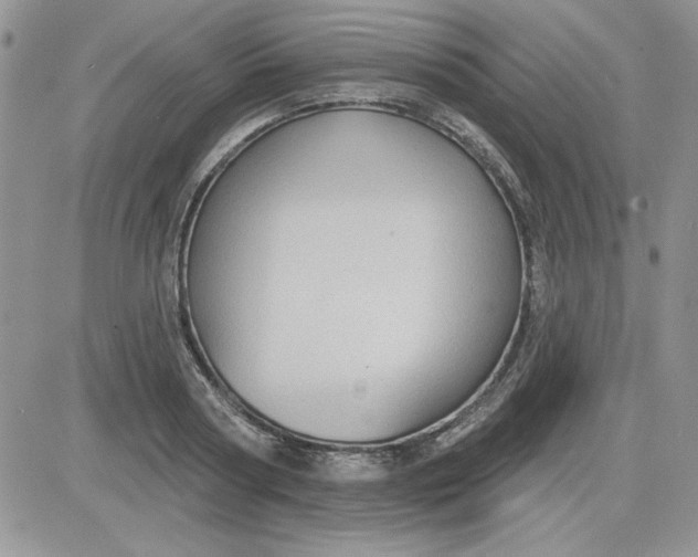 X0000081560794200701291148