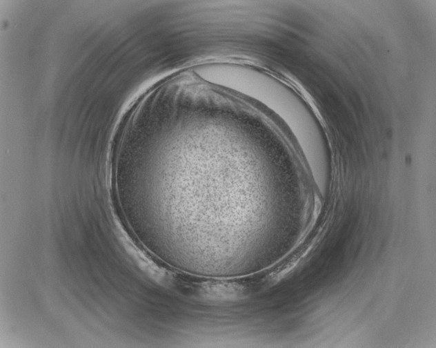 X0000081560795200701291148