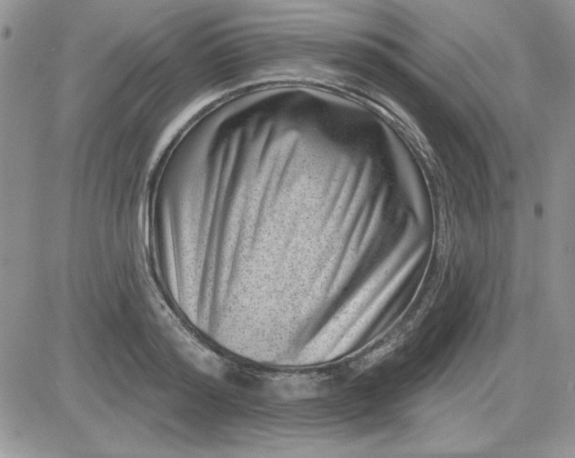 X0000081560796200701291148