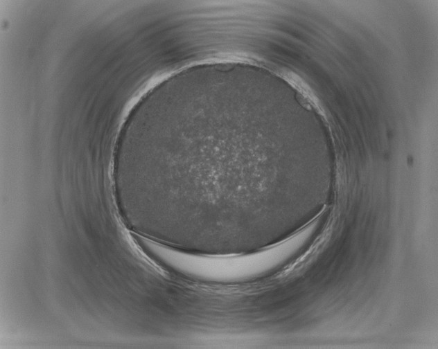 X0000081560797200701291148