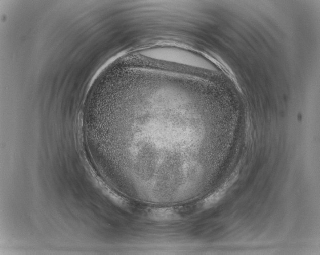 X0000081560798200701291148