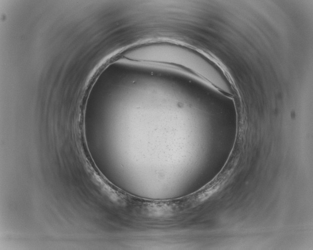 X0000081560799200701291148